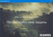 Kaspersky Яндекс-версия Антивирусная программа касперского пробная версия